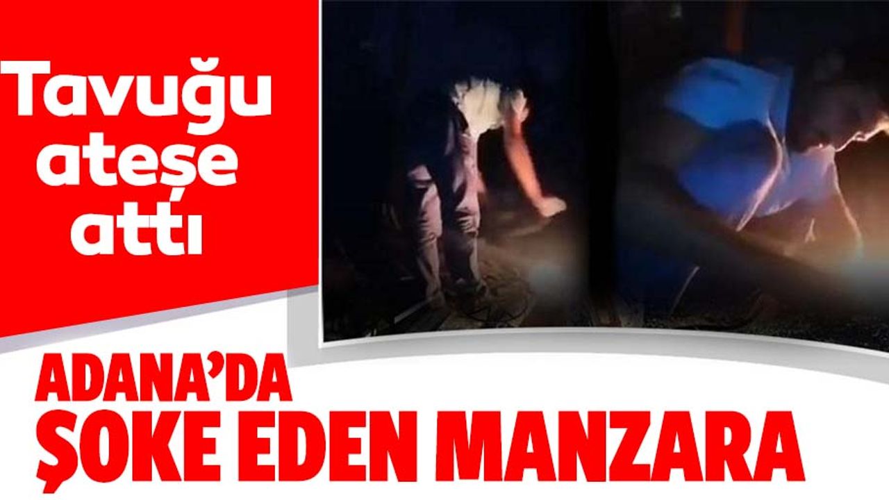 Tavuğun boğazını kestikten sonra ateşe attı