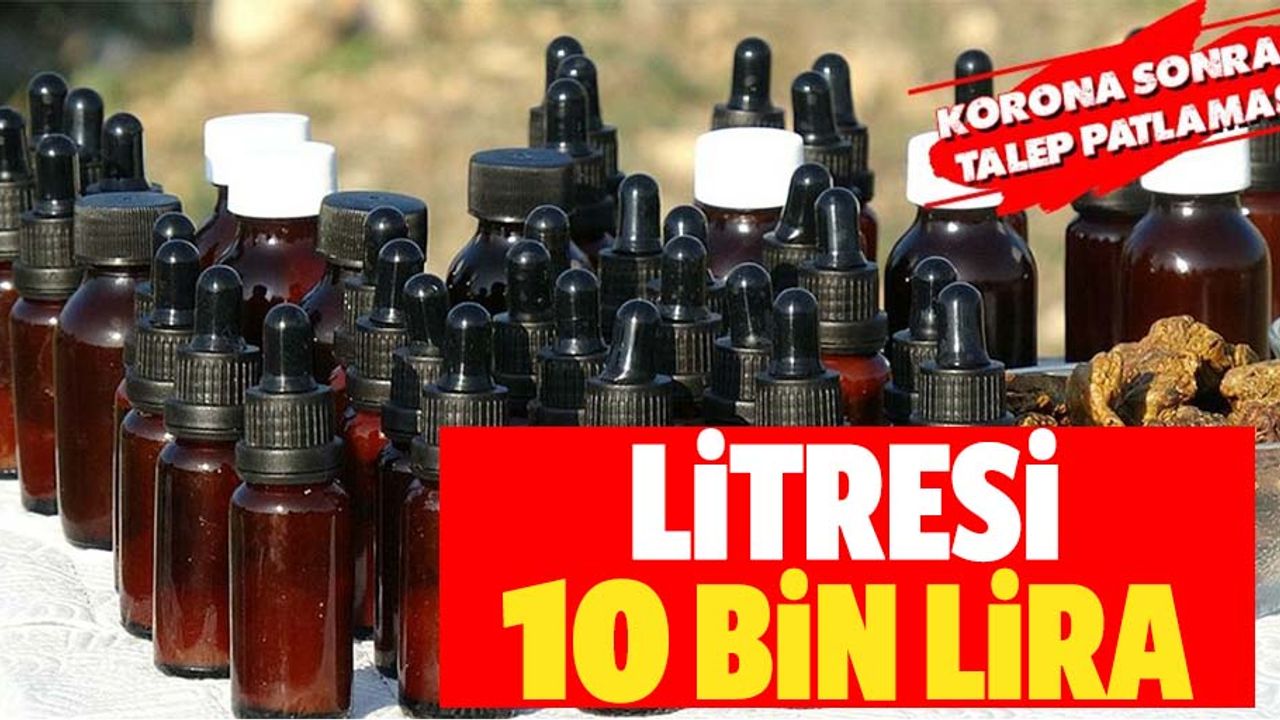 Koronavirüs sonrası talep patlaması! Bir litre propolis 10 bin liradan satılıyor!