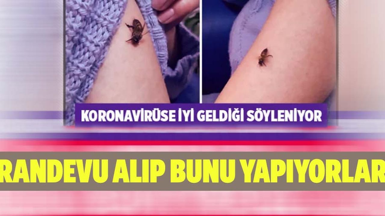 Koronavirüse iyi geldiğini öne sürüp, kendilerini bal arılarına ısırtıyorlar