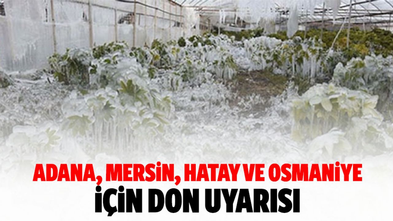 Adana, Mersin, Hatay ve Osmaniye İçin Don Uyarısı