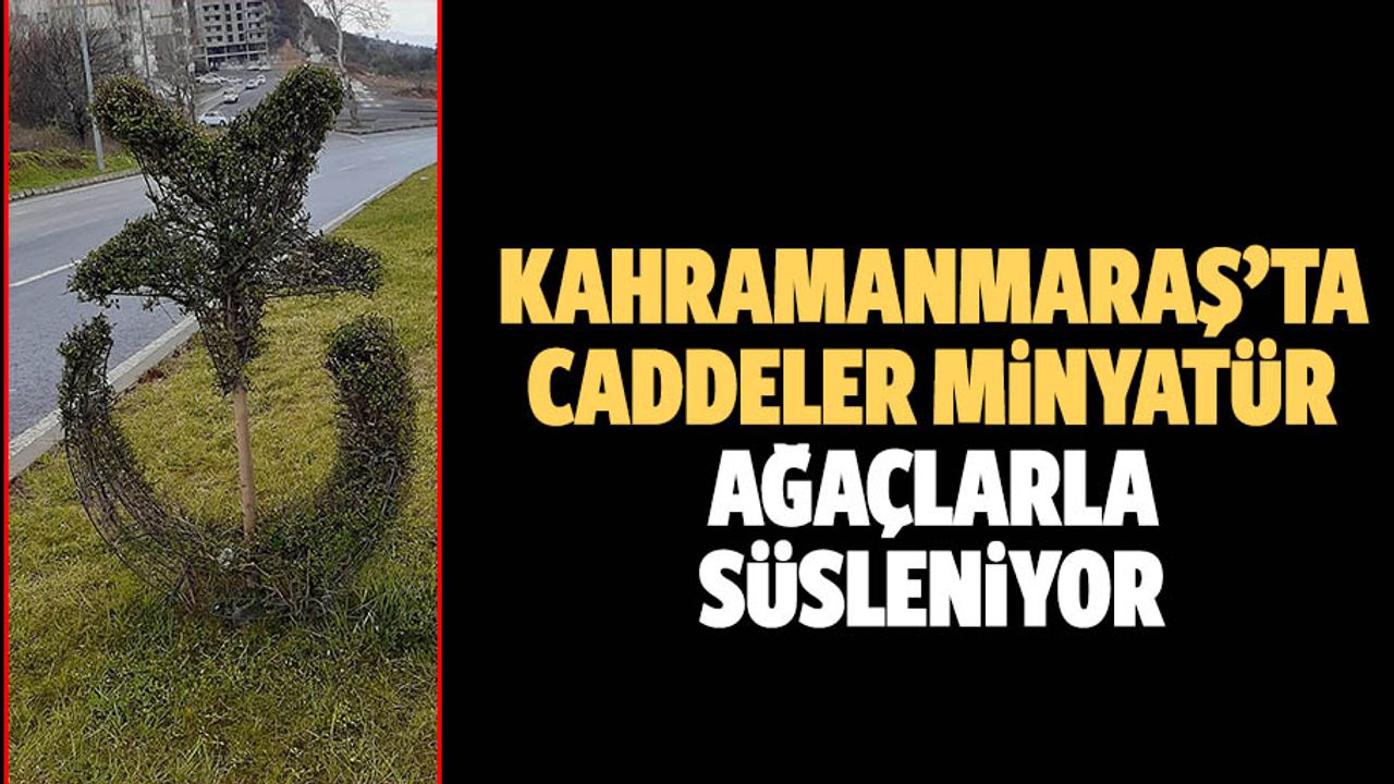 Kahramanmaraş’ta Caddeler Minyatür Ağaçlarla Süsleniyor
