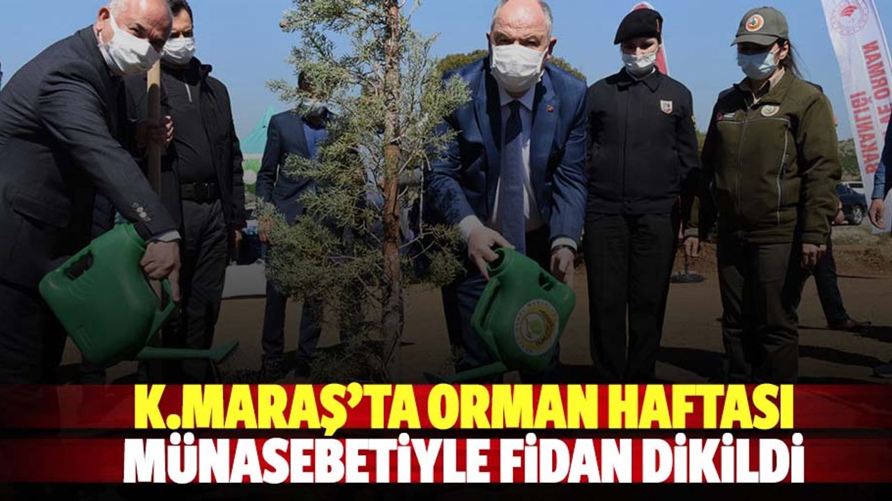 K.Maraş’ta orman haftası münasebetiyle fidan dikildi