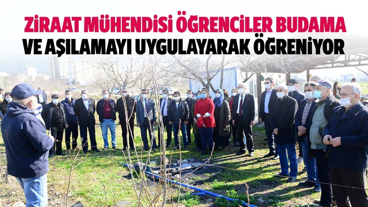 Ziraat Mühendisi Öğrenciler Budama Ve Aşılamayı Uygulayarak Öğreniyor