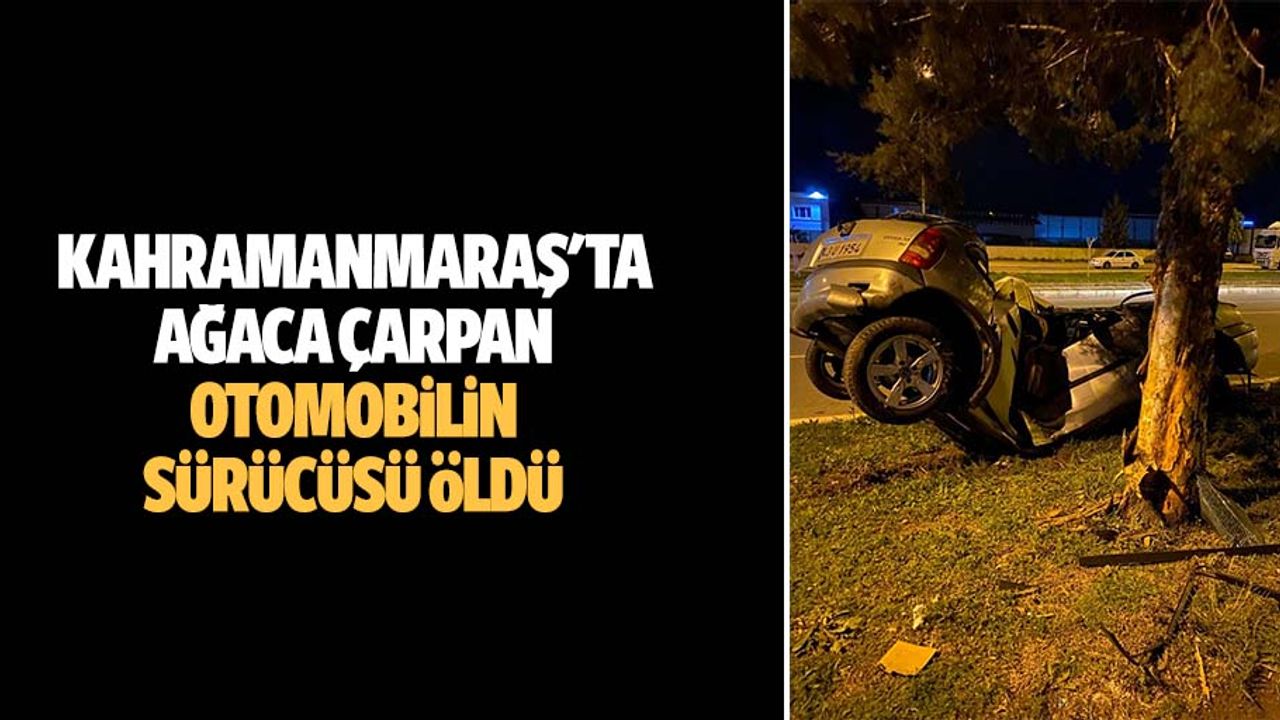 Kahramanmaraş'ta ağaca çarpan otomobilin sürücüsü öldü