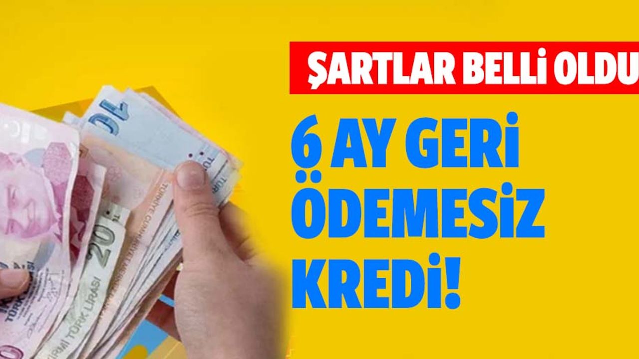 6 ay geri ödemesiz 100 bin TL'lik kredi! Şartlar belli oldu