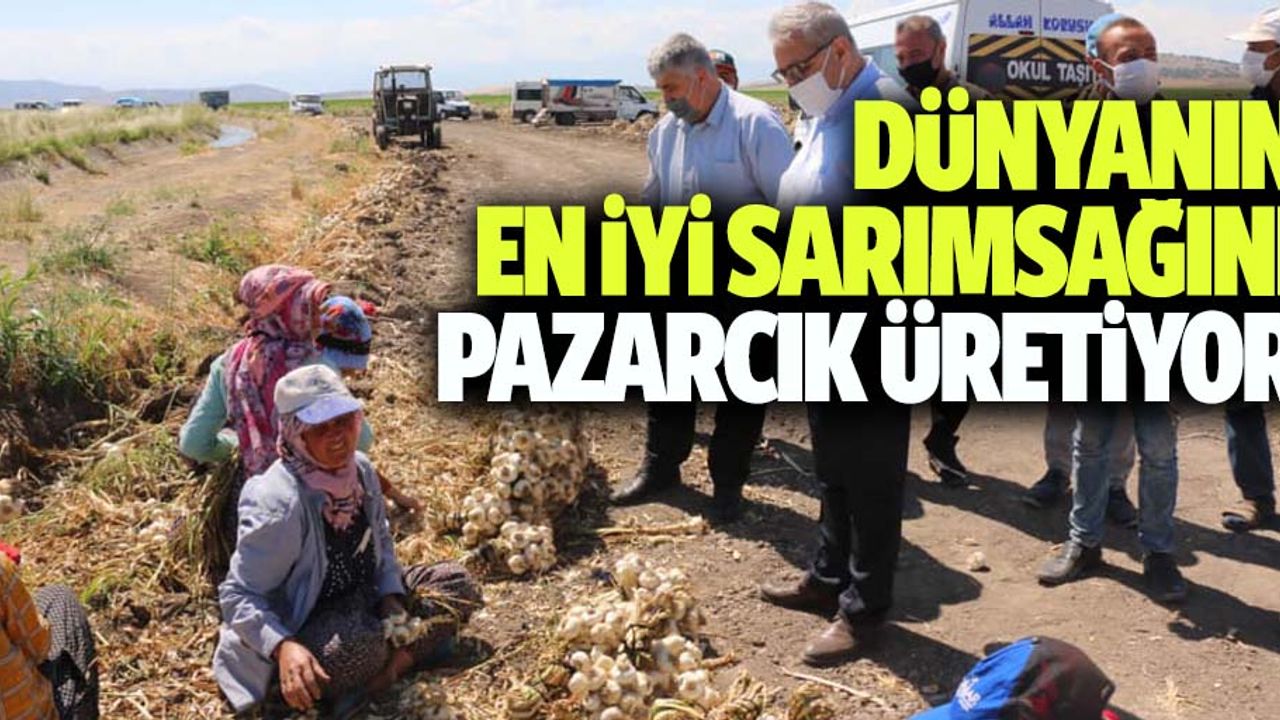 Dünyanın En İyi Sarımsağını Pazarcık Üretiyor