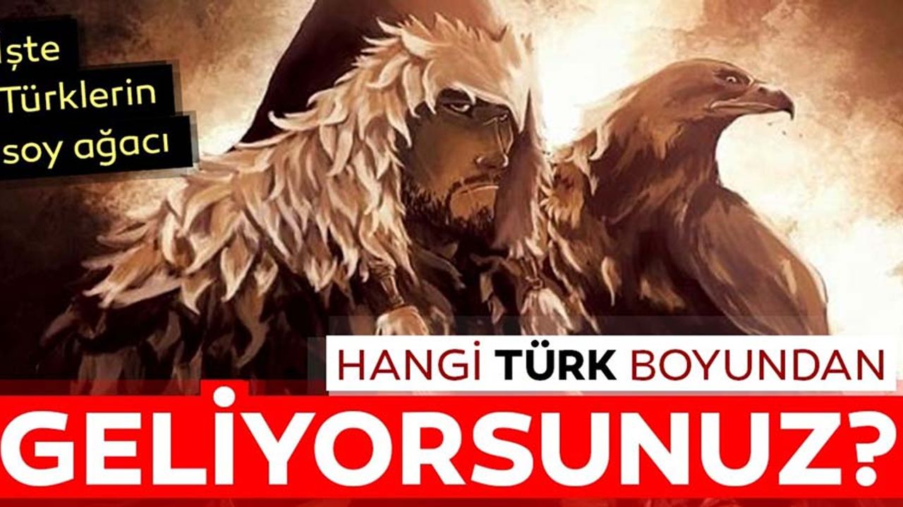 İşte Türklerin soy ağacı gerçeği! Hangi il hangi boydan geliyor?