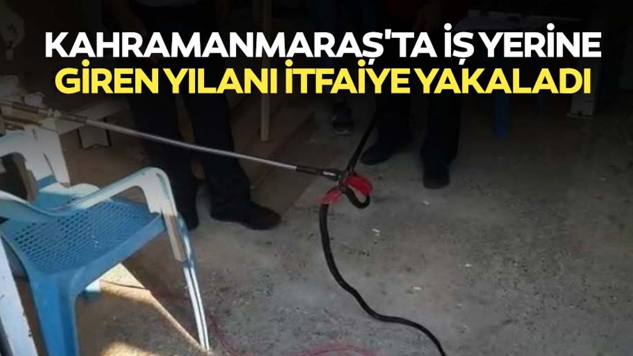 Kahramanmaraş'ta iş yerine giren yılanı itfaiye yakaladı