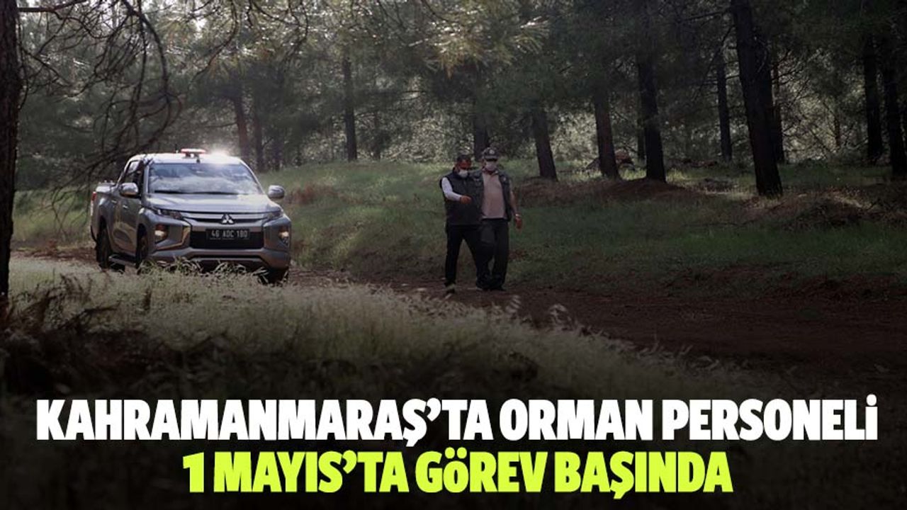 Kahramanmaraş’ta Orman Personeli, 1 Mayıs’ta Görev Başında