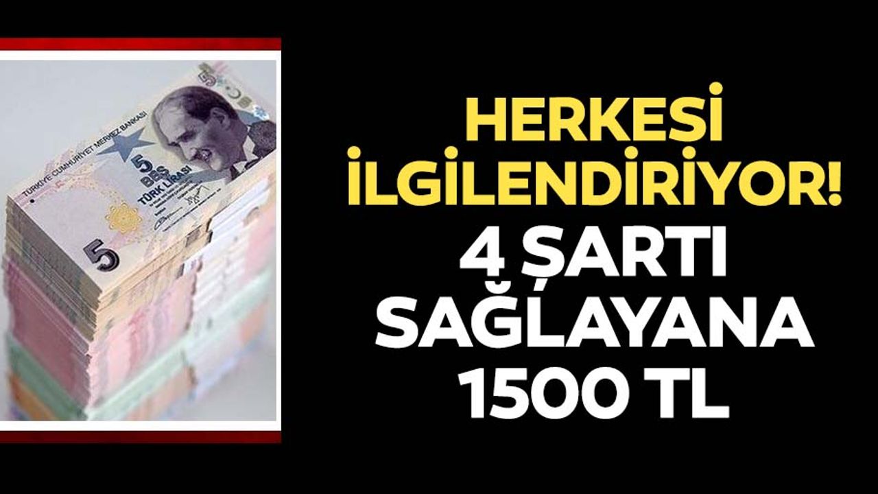 Milyonlarca çalışanı ilgilendiriyor! Nakdi ücret desteği alabilmek için 4 şart! Nakdi ücret desteği ne zaman yatacak?