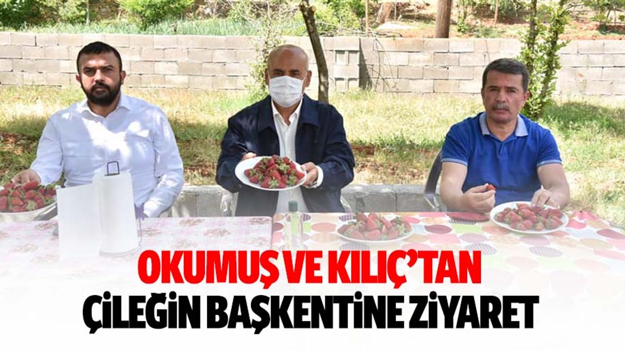 Okumuş ve Kılıç’tan çileğin başkentine ziyaret