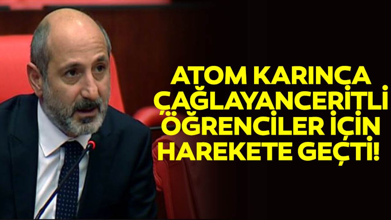 Atom karınca, Çağlayanceritli öğrenciler için harekete geçti!