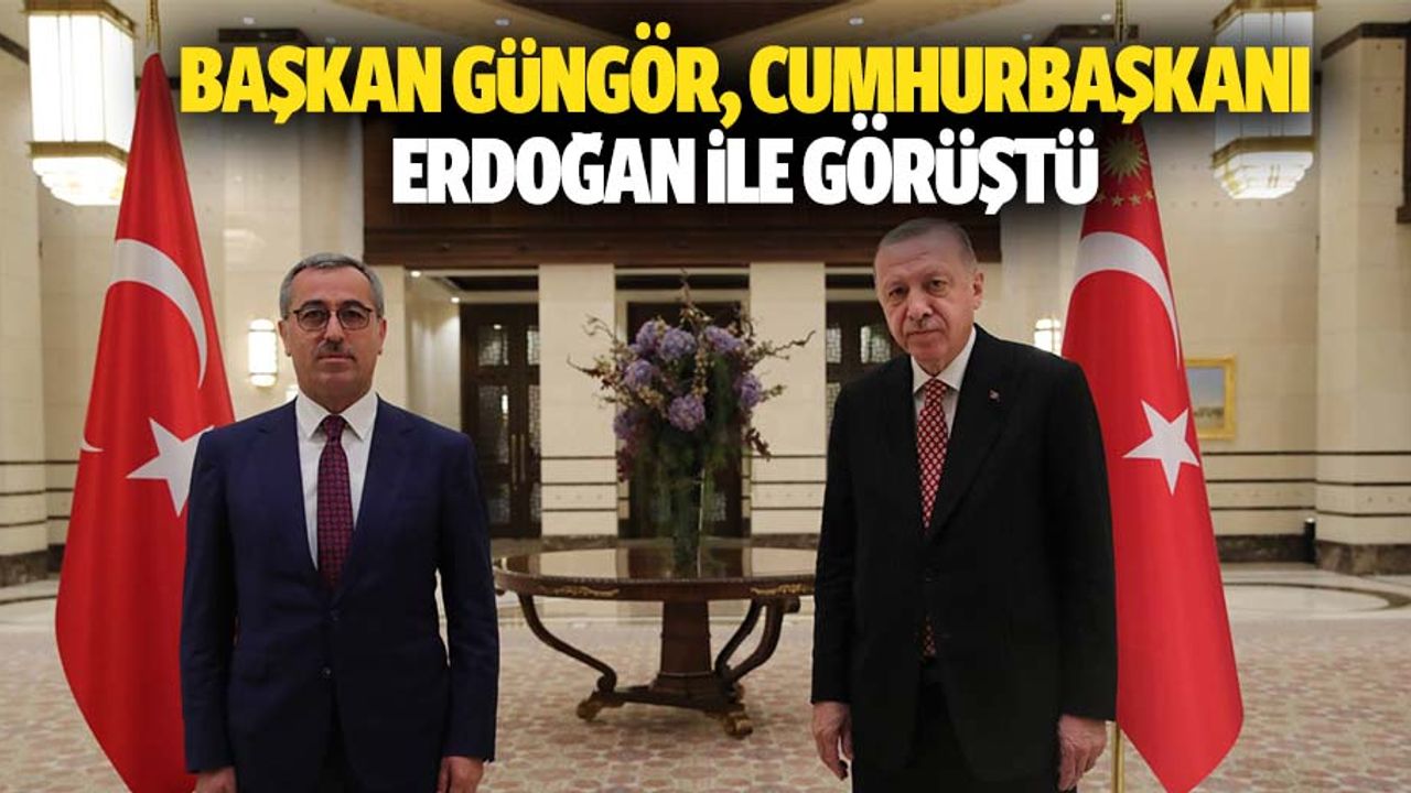 Güngör, Cumhurbaşkanı Erdoğan İle Görüştü