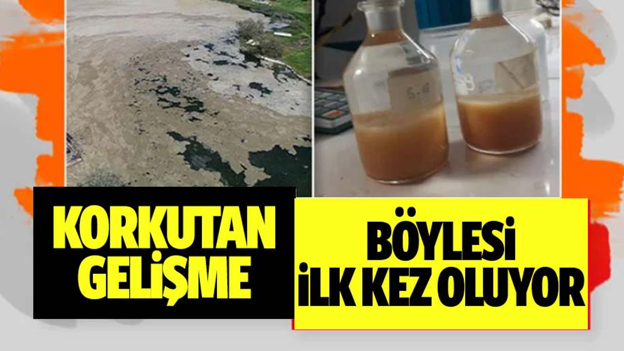 Prof. Dr. Salihoğlu'ndan müsilaj açıklaması: Bu derece durumla hiç karşılaşmamıştık
