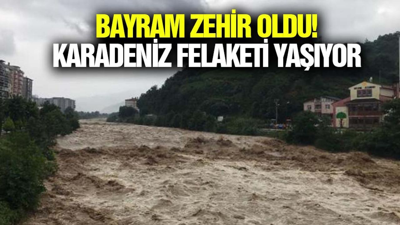 Bayram zehir oldu! Karadeniz felaketi yaşıyor