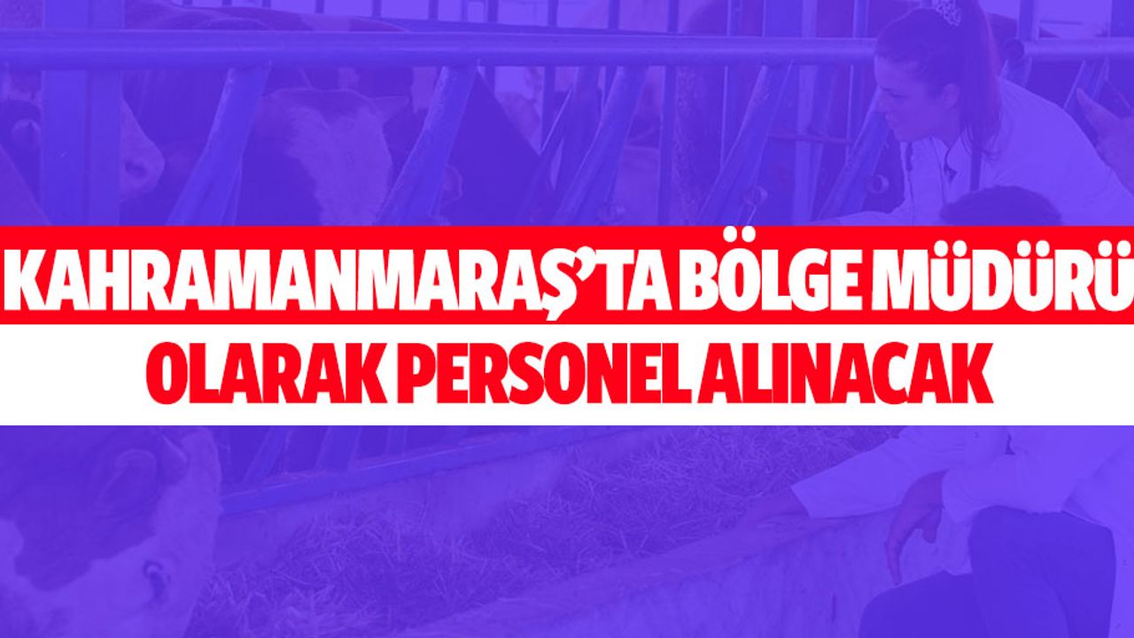 Kahramanmaraş’ta bölge müdürü olarak personel alınacak