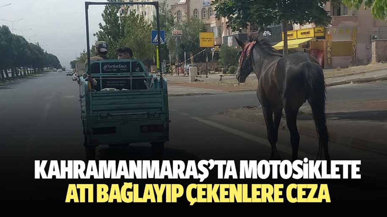 Kahramanmaraş’ta motosiklete atı bağlayıp çekenlere ceza