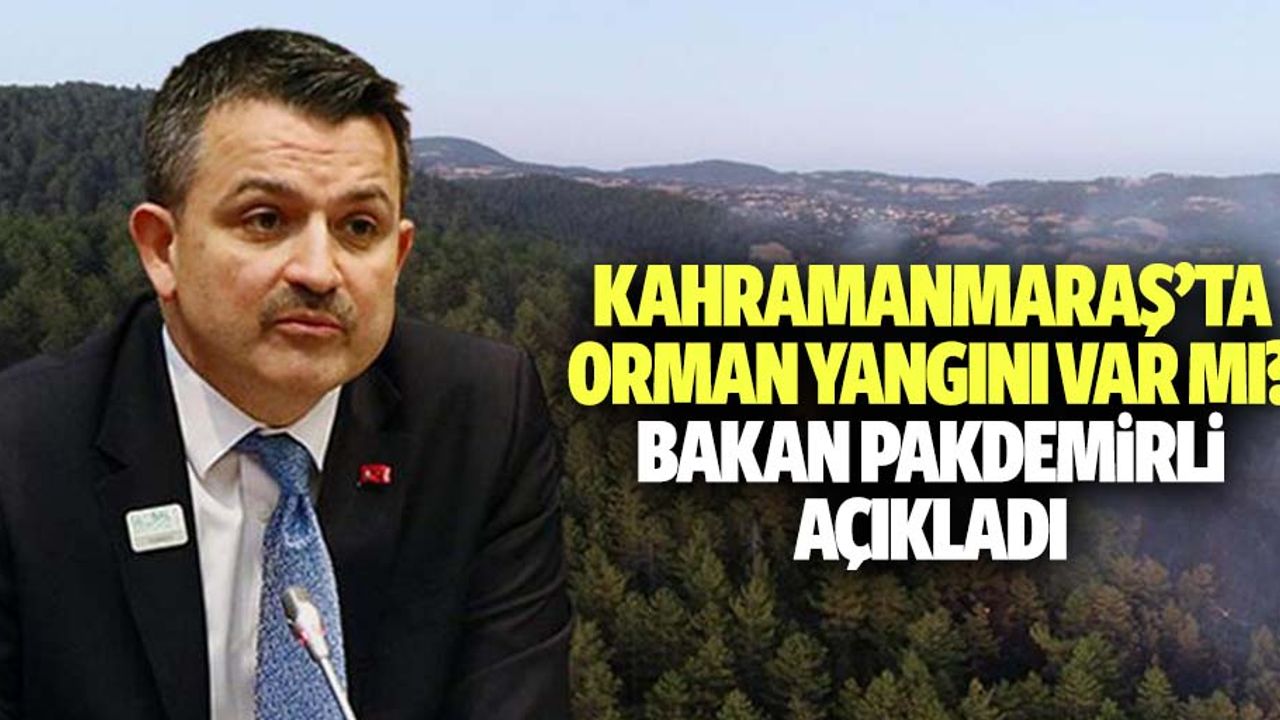 Kahramanmaraş’ta orman yangını var mı? Bakan Pakdemirli açıkladı
