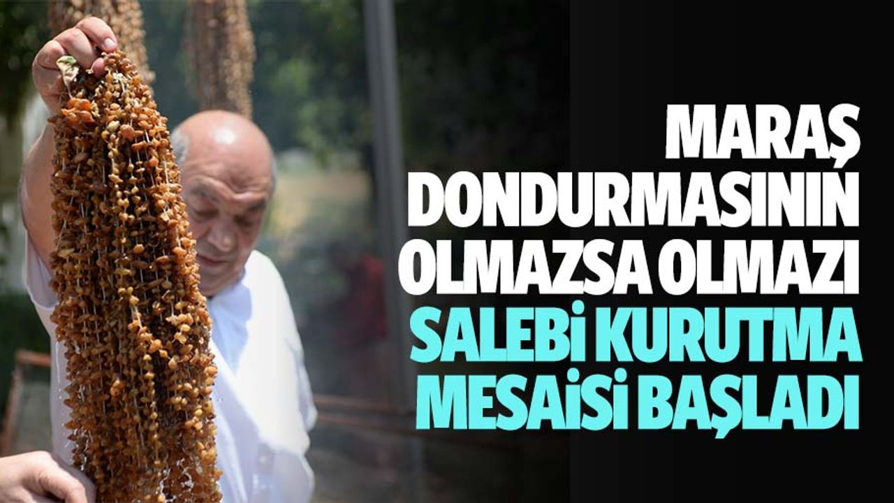 Maraş dondurmasının olmazsa olmazı salebi kurutma mesaisi başladı