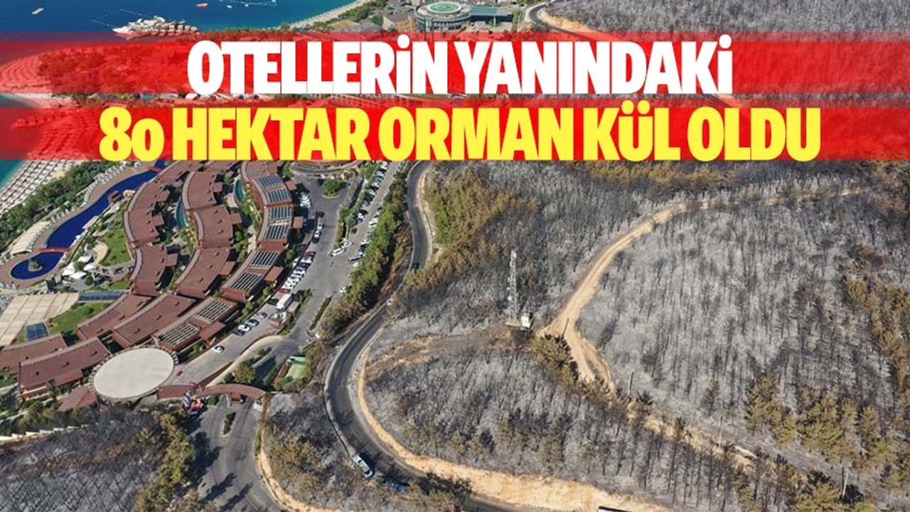 Otellerin Yanındaki 80 Hektar Orman Kül Oldu