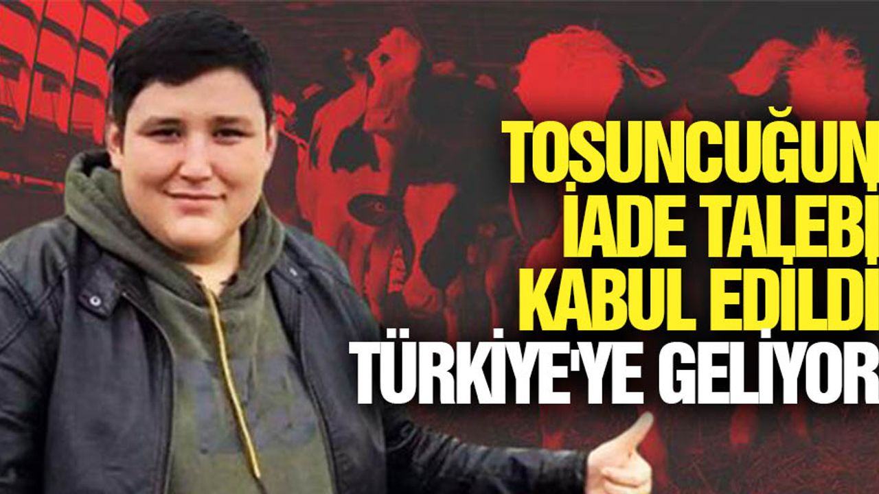 Tosuncuğun İade Talebi Kabul Edildi, Türkiye'ye Geliyor