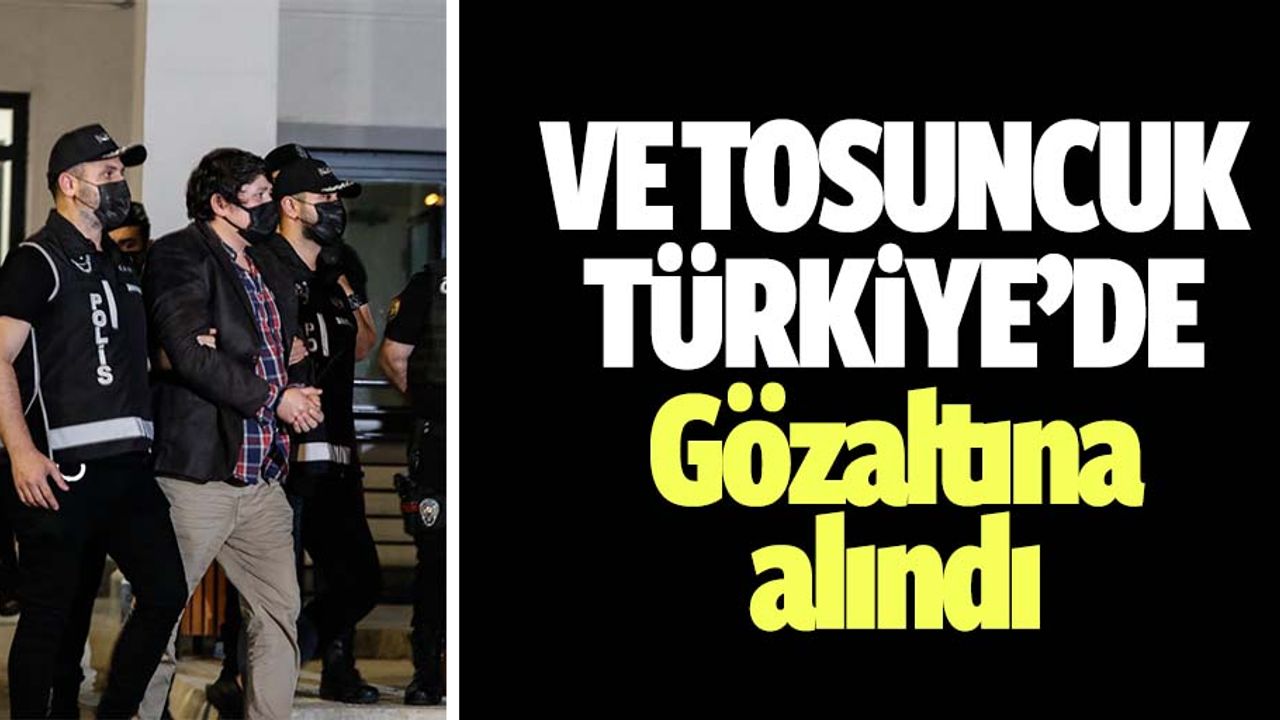 Tosuncuk Türkiye’de, İstanbul'da gözaltına alındı