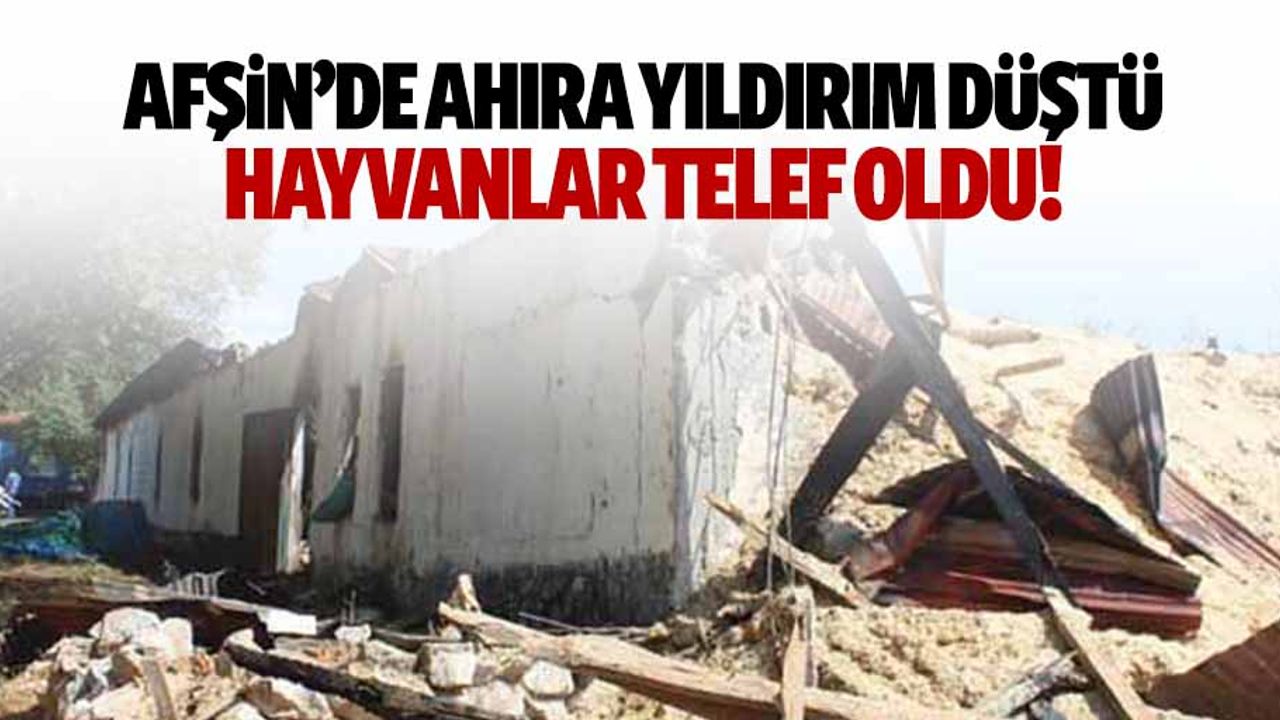Afşin’de ahıra yıldırım düştü hayvanlar telef oldu