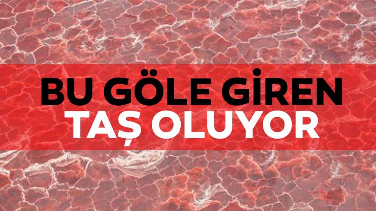 Bu Göle Giren Taş Oluyor