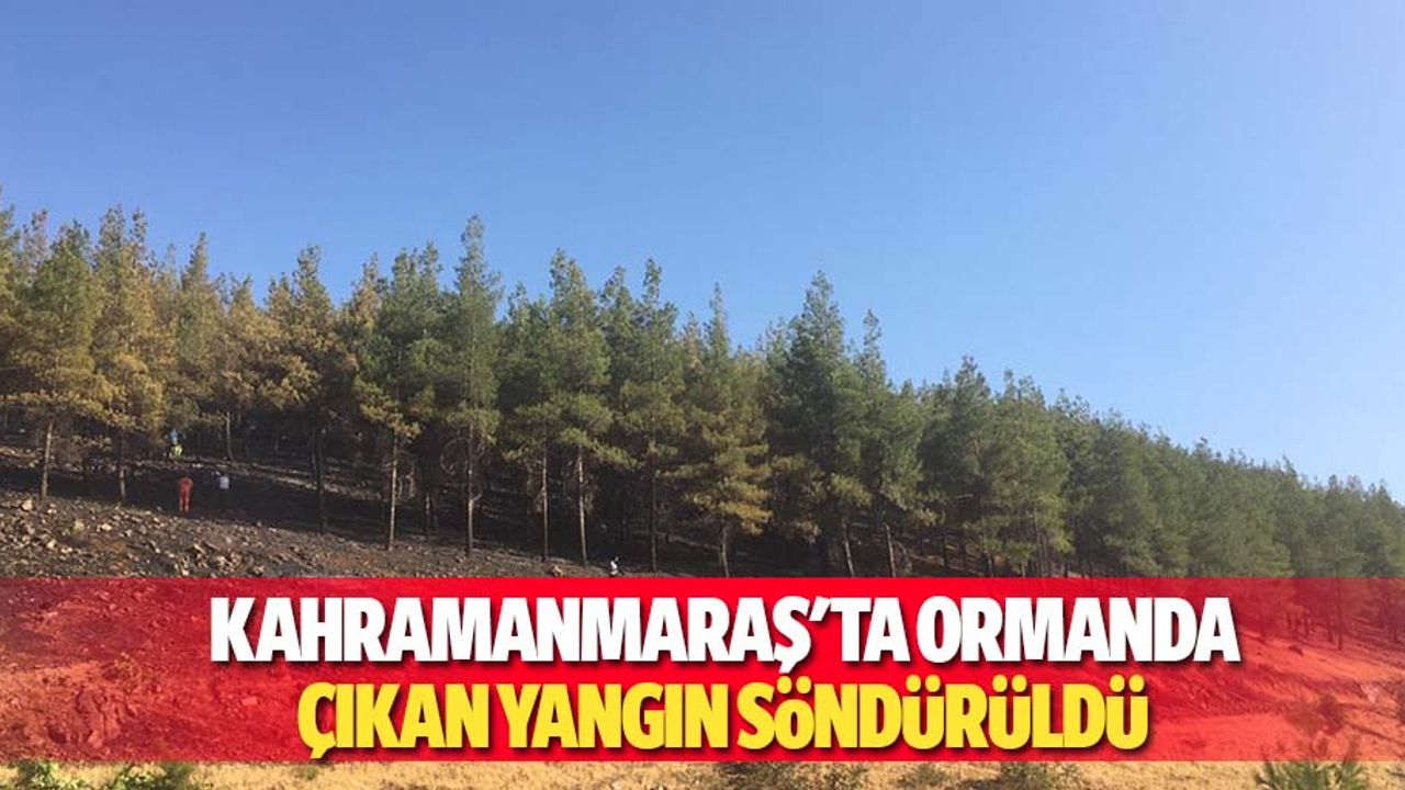 Kahramanmaraş'ta ormanda çıkan yangın söndürüldü