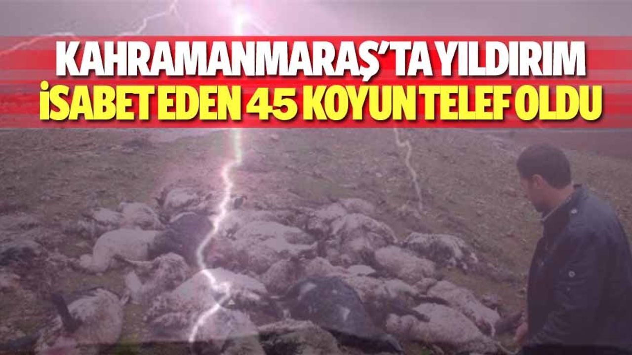Kahramanmaraş'ta yıldırım isabet eden 45 koyun telef oldu