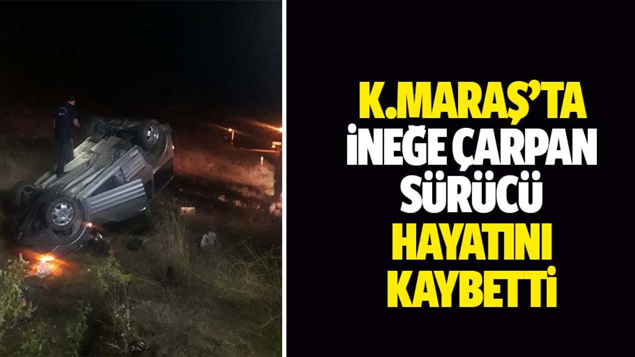 Kahramanmaraş’ta ineğe çarpan sürücü hayatını kaybetti