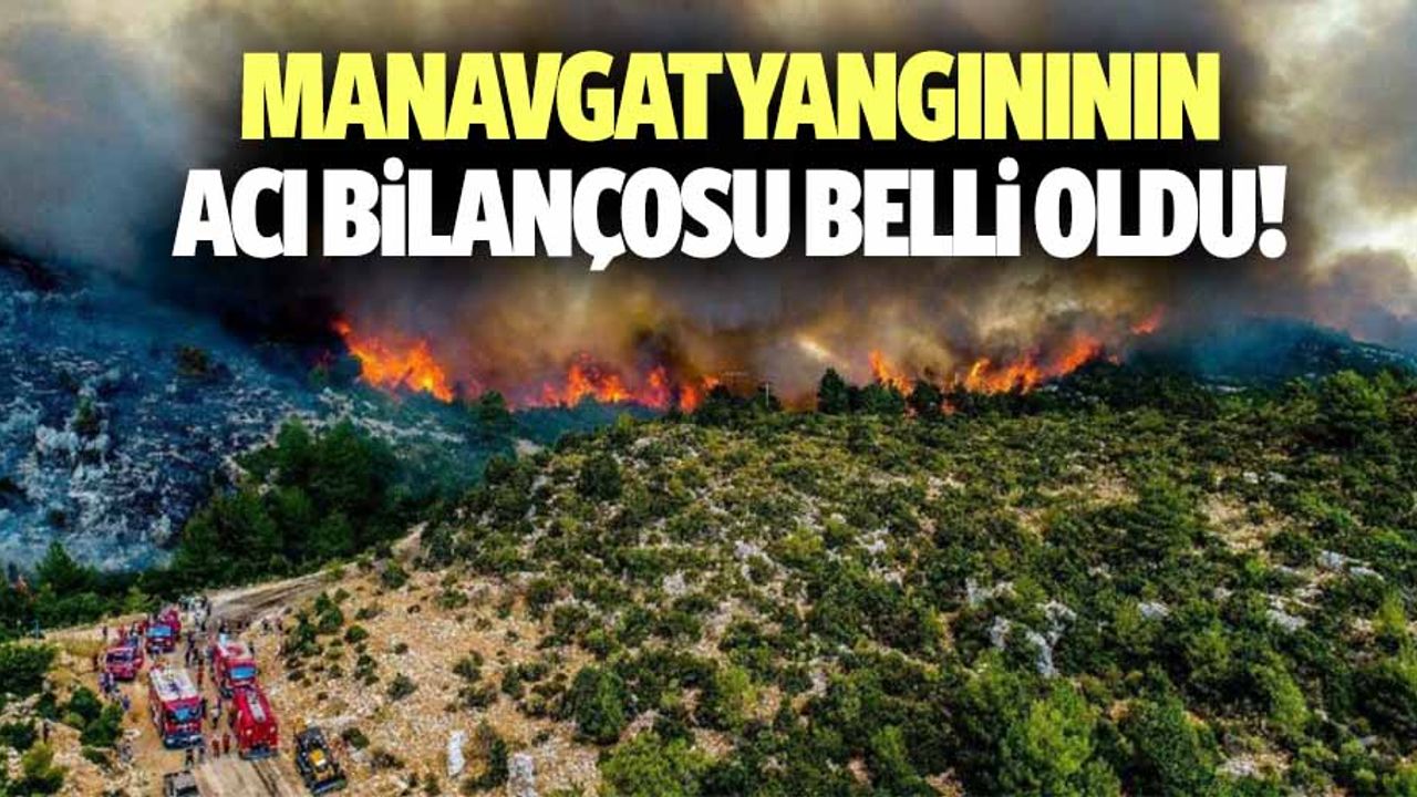 Manavgat yangınının acı bilançosu belli oldu