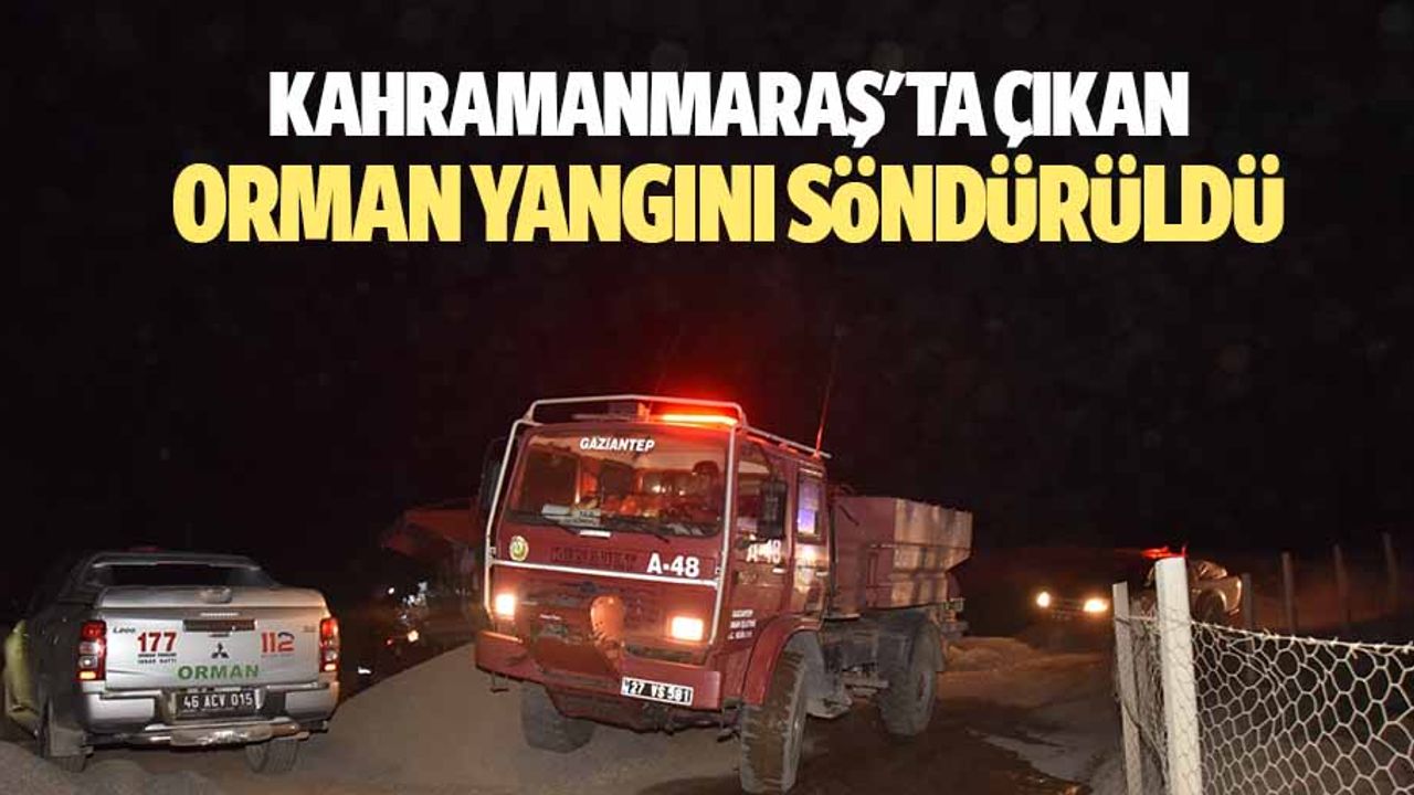 Kahramanmaraş'ta çıkan orman yangını söndürüldü