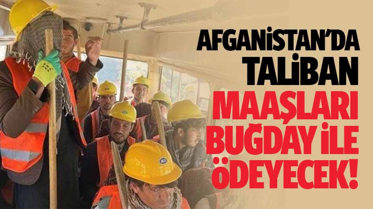 Afganistan'da Taliban Maaşları Buğday İle Ödeyecek