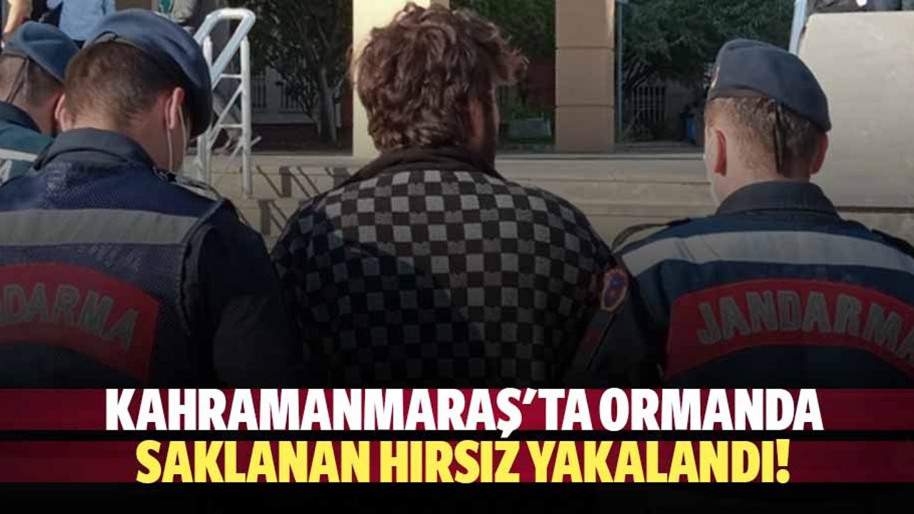 Kahramanmaraş'ta ormanda saklanan hırsız yakalandı!