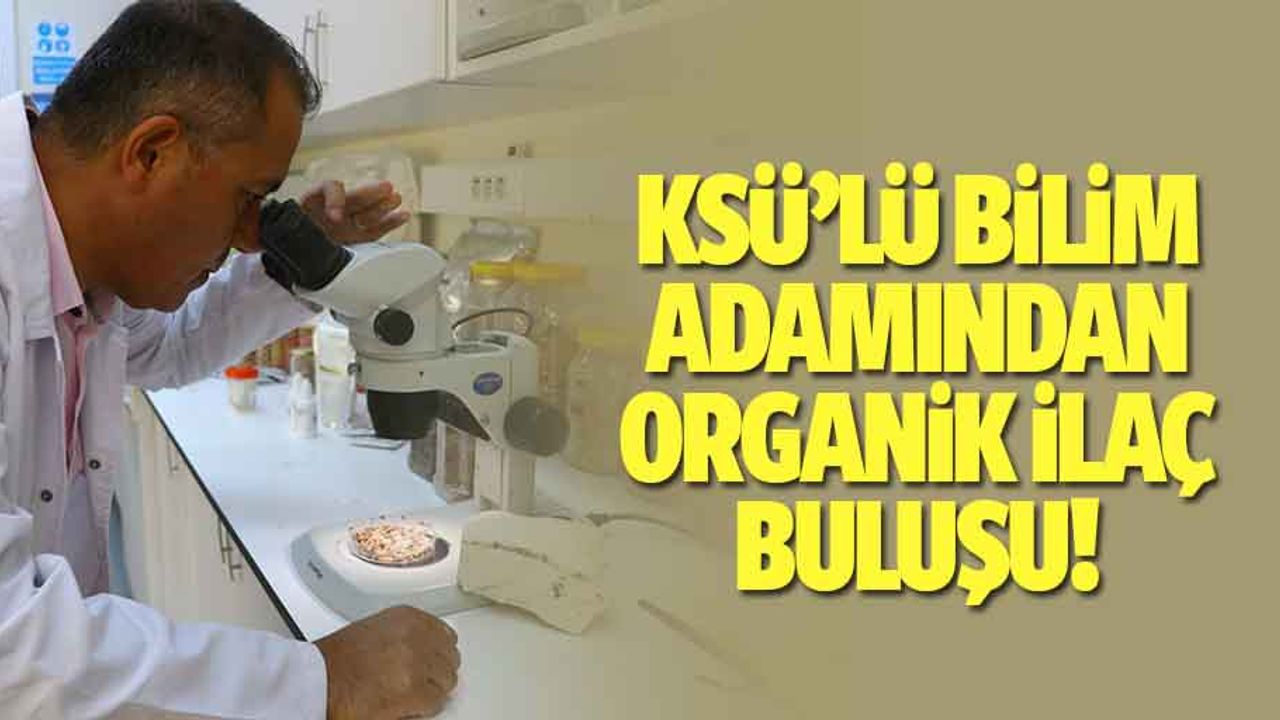 KSÜ’lü bilim adamından organik ilaç buluşu