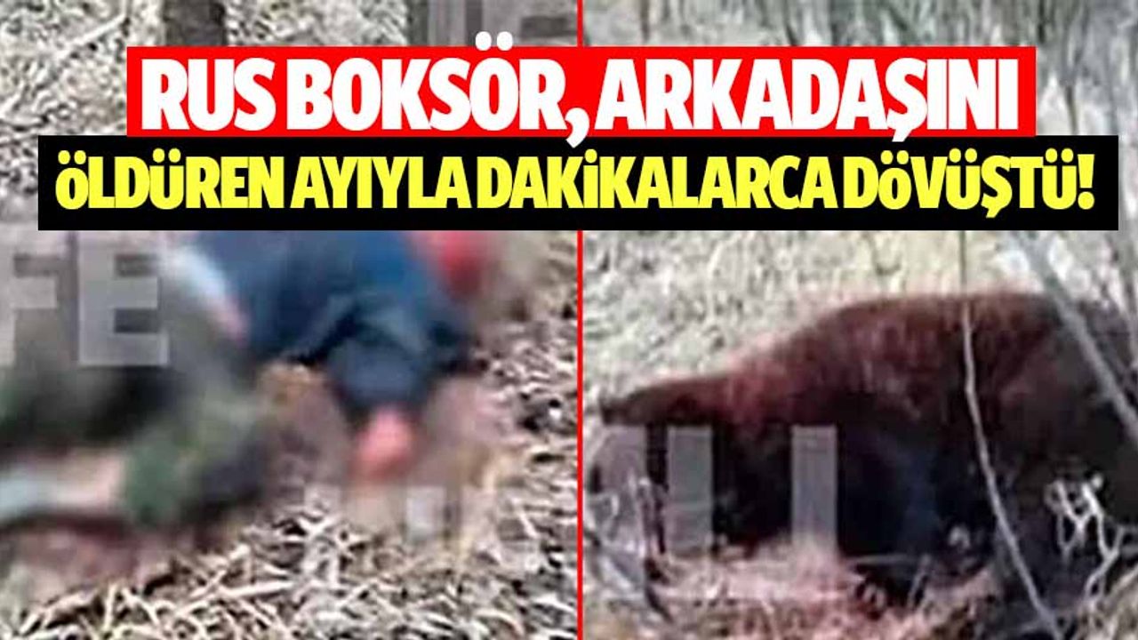 Rus boksör, arkadaşını öldüren ayıyla dakikalarca dövüştü!
