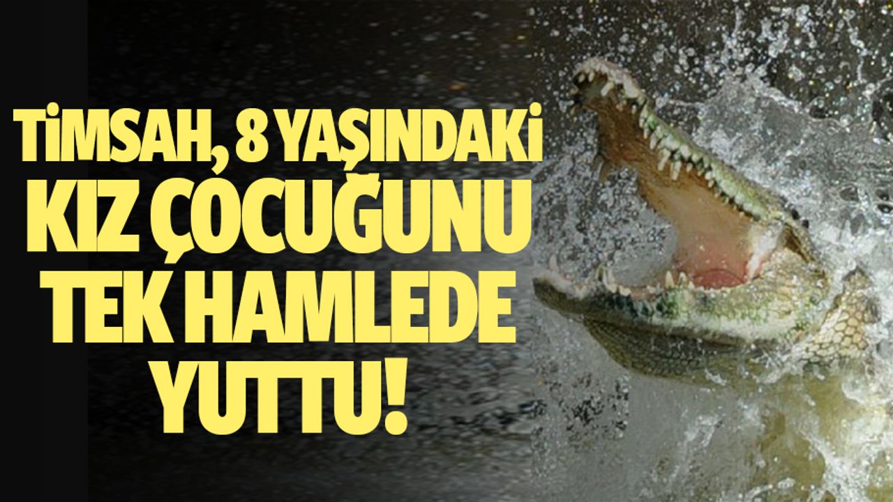 Timsah, 8 Yaşındaki Kız Çocuğunu Tek Hamlede Yuttu