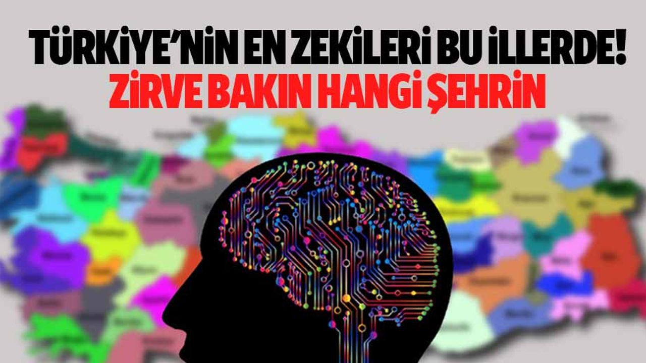 Türkiye'nin en zekileri bu illerde! Zirve bakın hangi şehrin