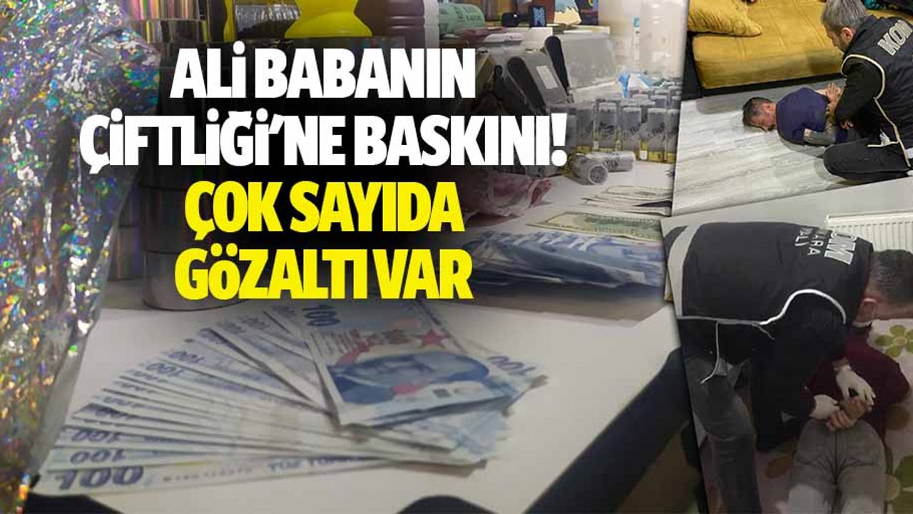 Ali babanın çiftliği'ne baskını! Çok sayıda gözaltı var