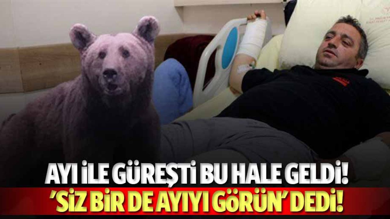 Ayı ile güreşti bu hale geldi! 'Siz bir de ayıyı görün'