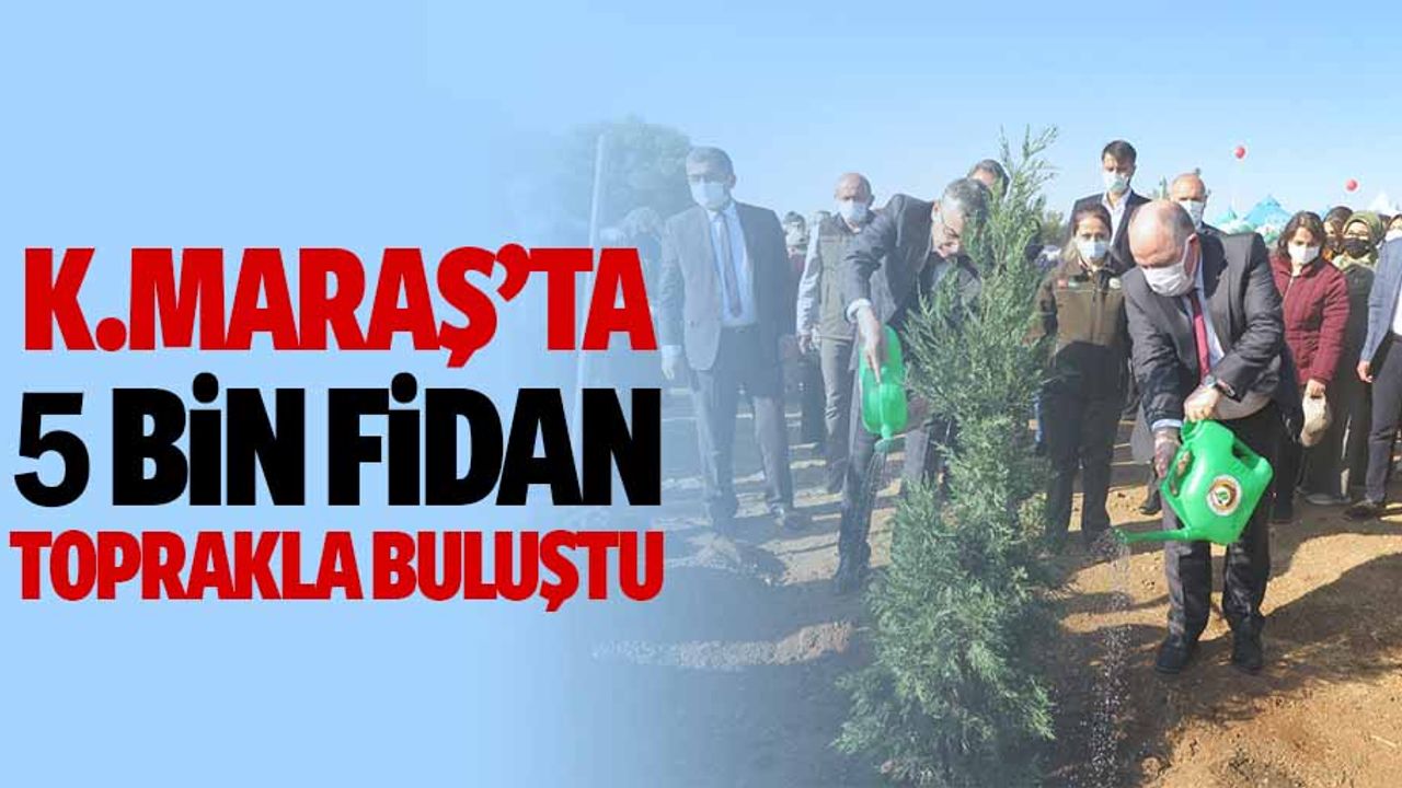 Kahramanmaraş’ta 5 bin fidan toprakla buluştu