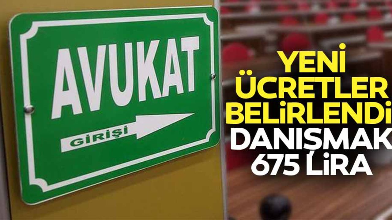 Yeni ücretler belirlendi! Danışmak 675 lira