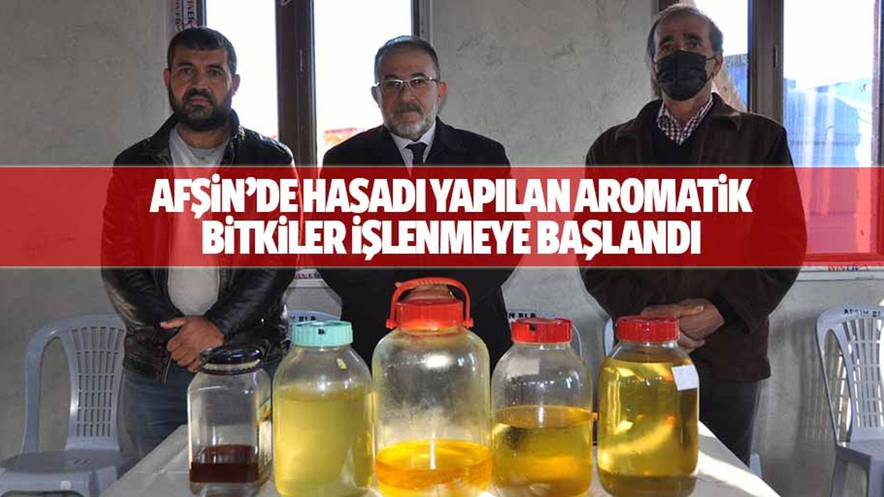 Afşin’de hasadı yapılan aromatik bitkiler işlenmeye başlandı