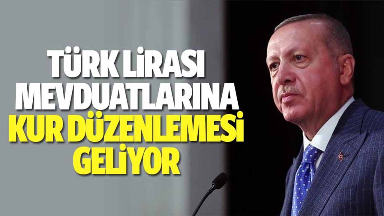 Türk Lirası Mevduatlarına Kur Düzenlemesi Geliyor