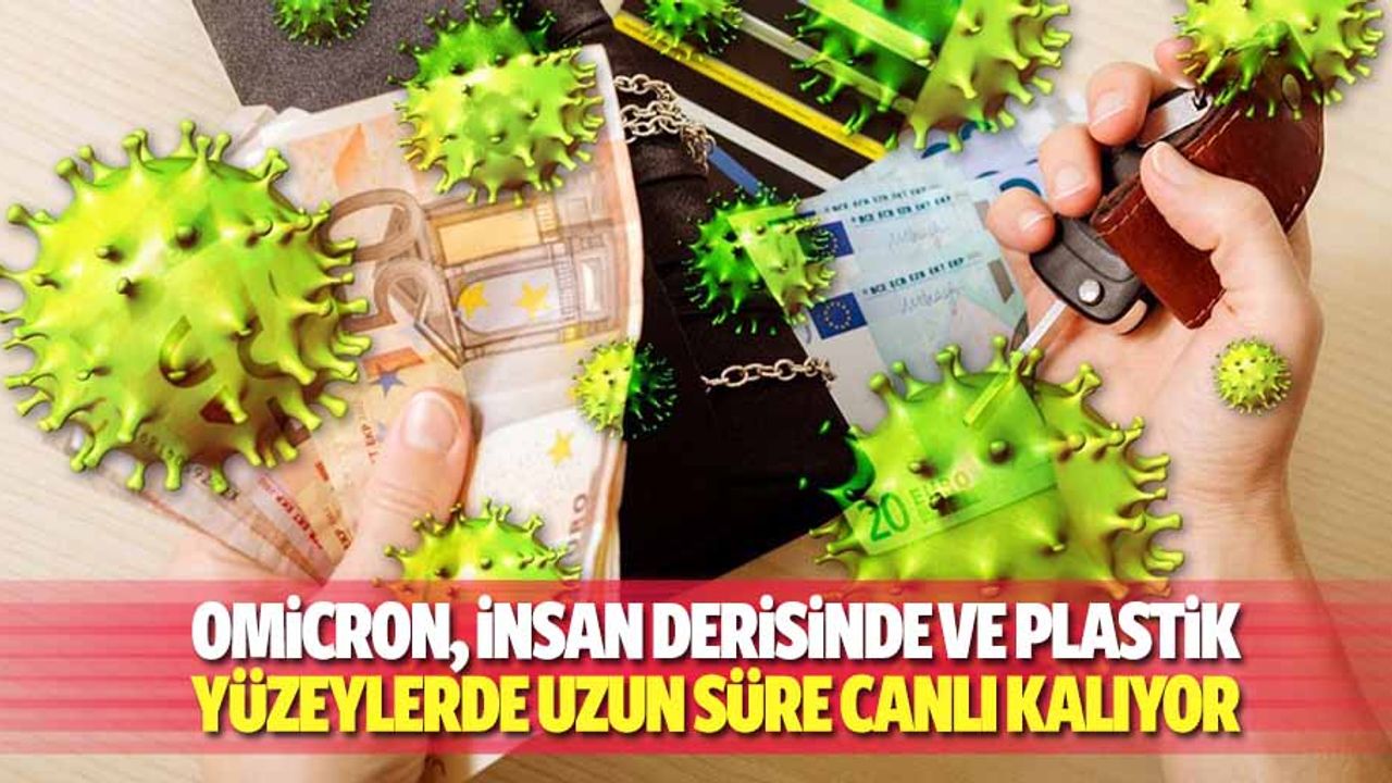 Omicron, İnsan Derisinde Ve Plastik Yüzeylerde Uzun Süre Canlı Kalıyor