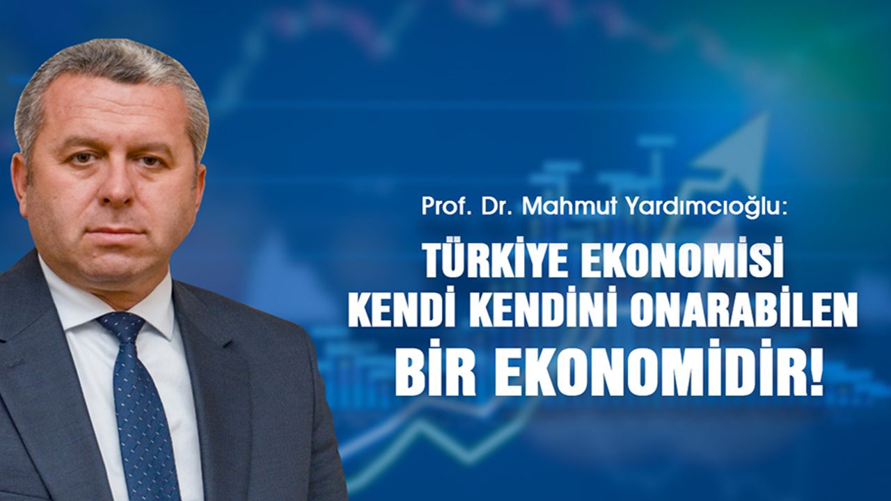 Yardımcıoğlu, Türkiye Ekonomisi Kendi Kendini Onarabilen Bir Ekonomidir