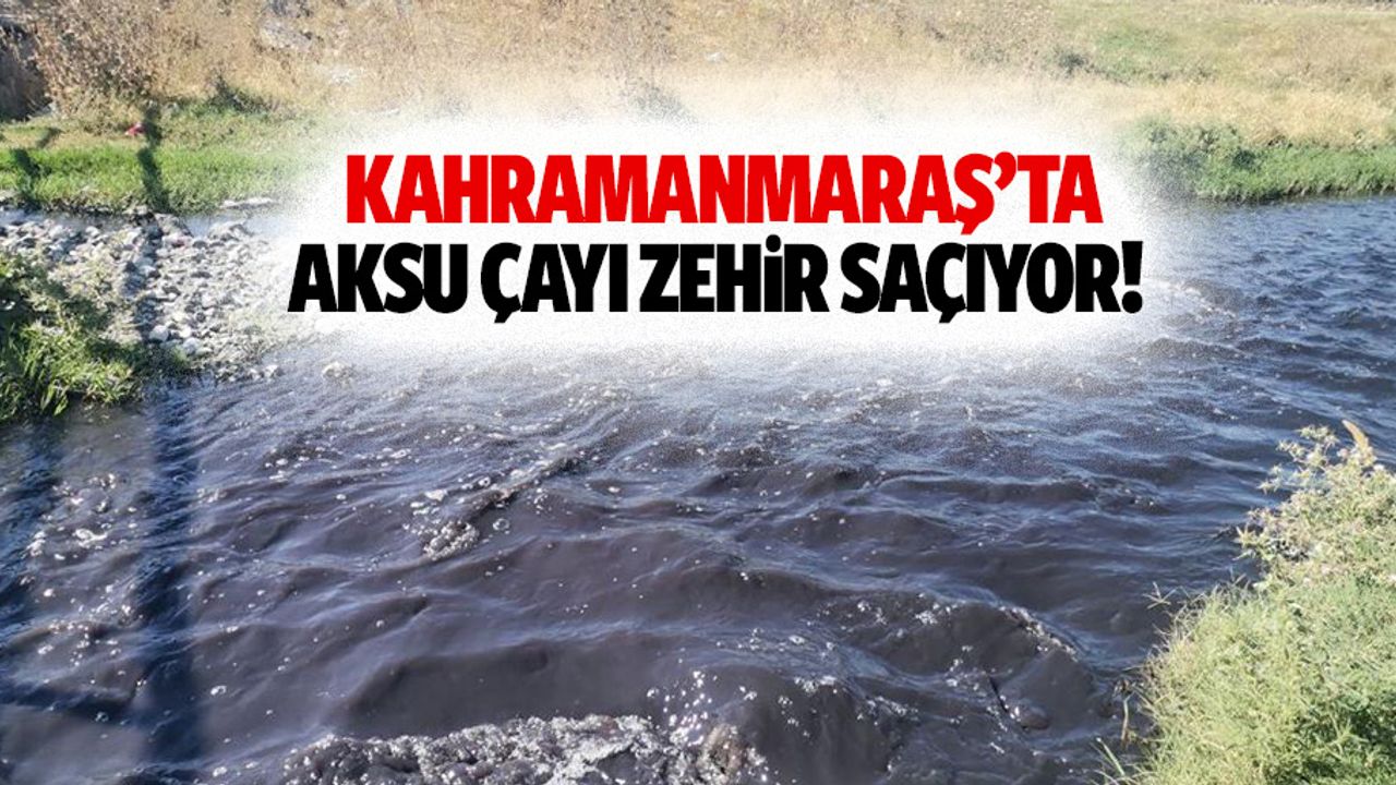 Kahramanmaraş’ta Aksu çayı zehir saçıyor!