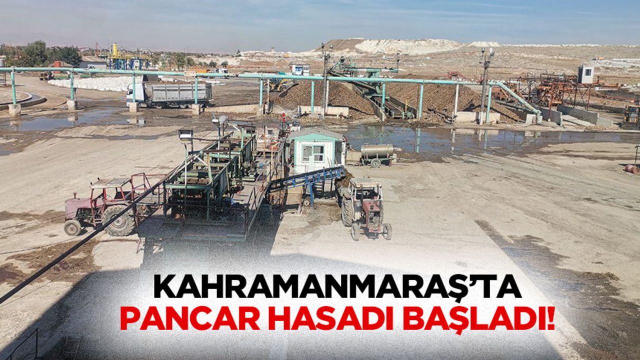 Kahramanmaraş’ta pancar hasadı başladı!