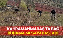 Kahramanmaraş'ta Bağ Budama Mesaisi Başladı